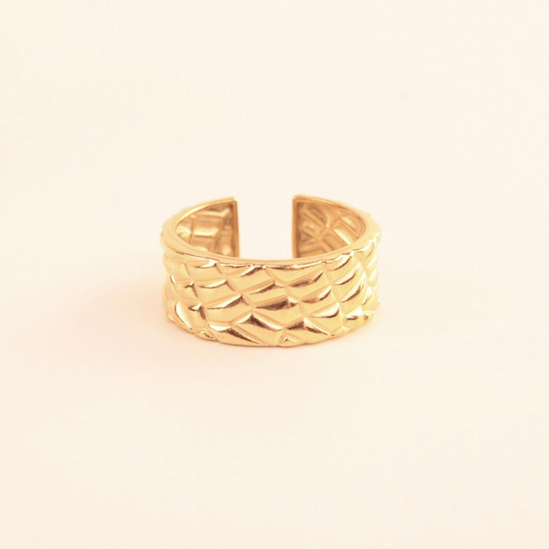 Anillo Relieve