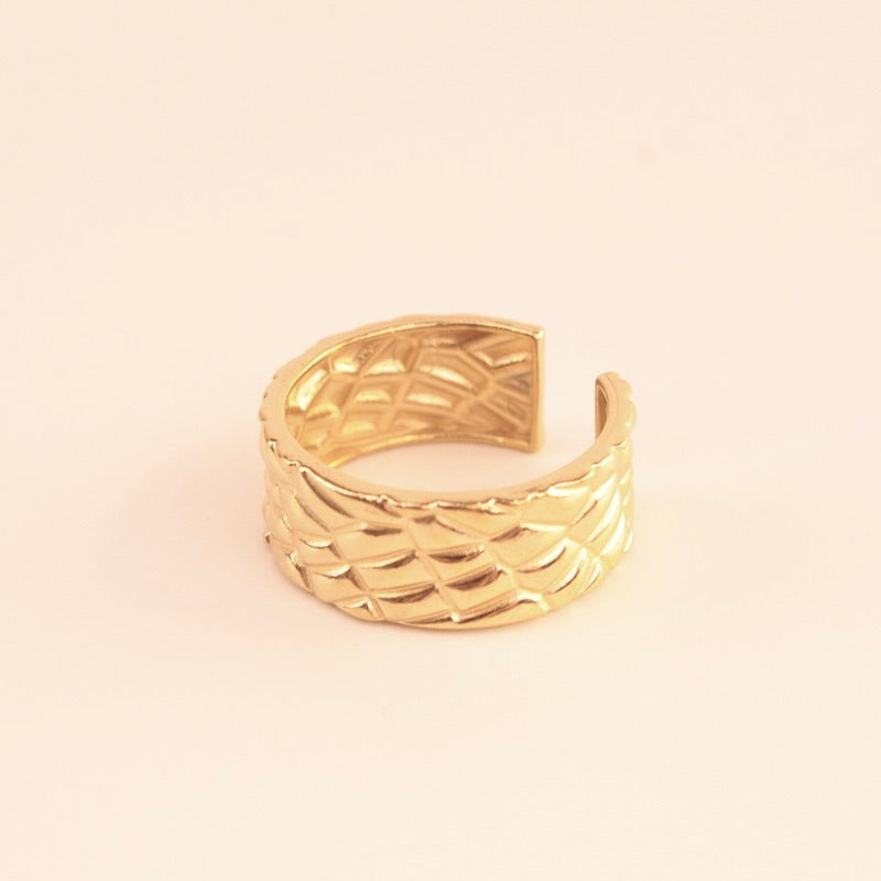Anillo Relieve