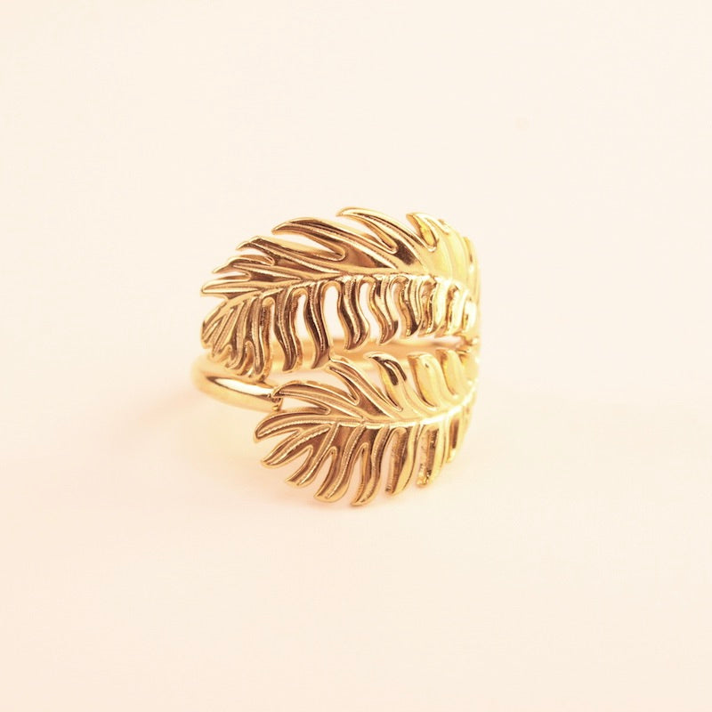 Anillo Pampero
