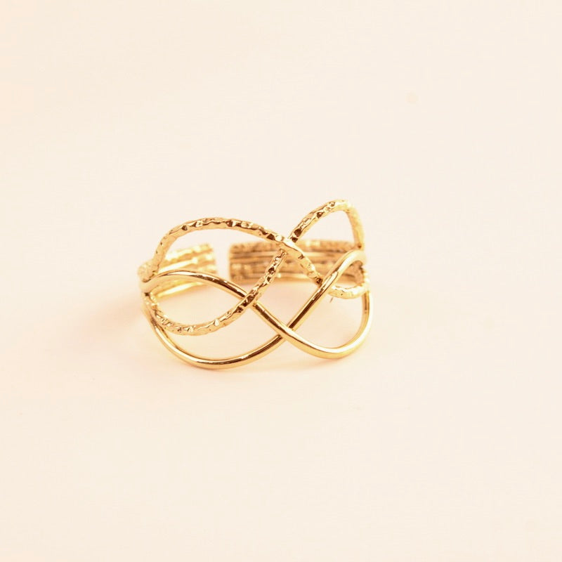 Anillo Salto