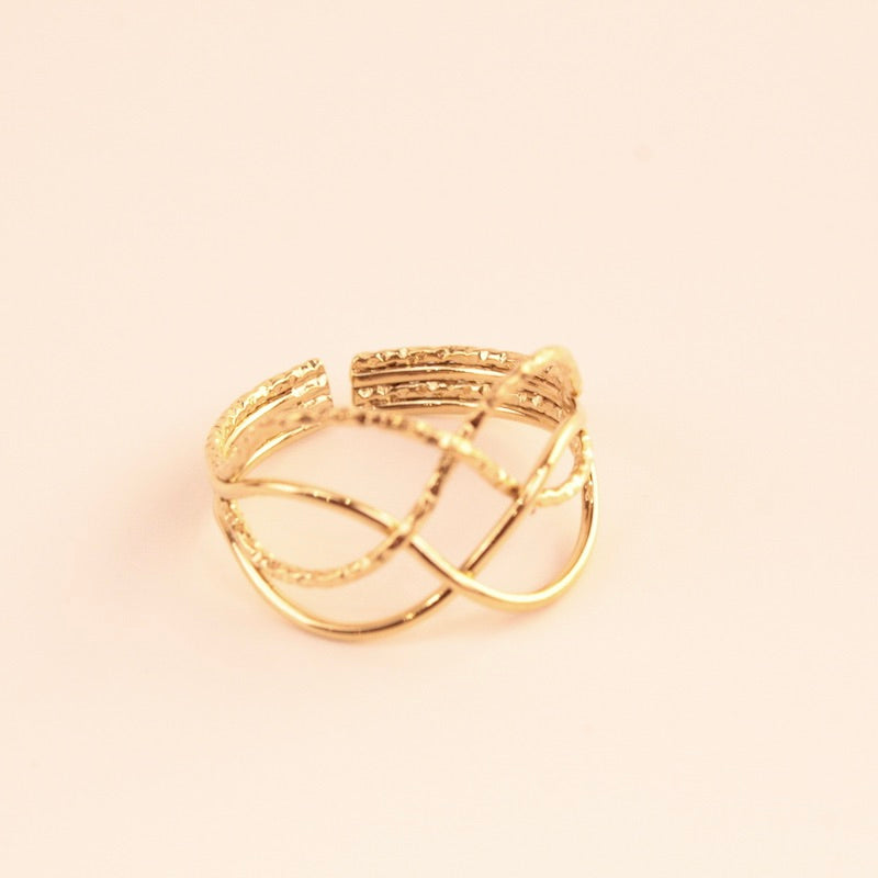 Anillo Salto