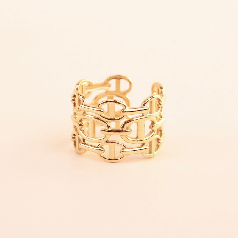 Anillo Hebilla