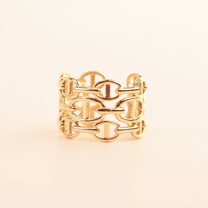 Anillo Hebilla