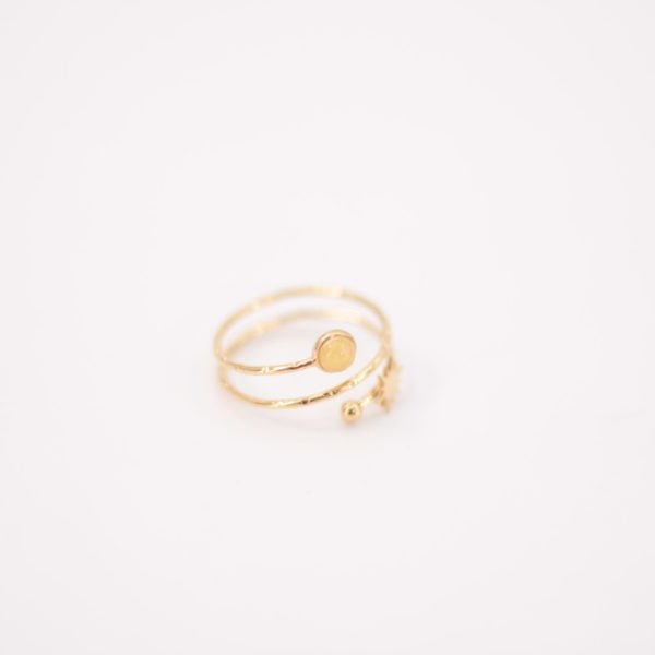 Anillo Dana