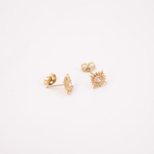 Pendientes Polar