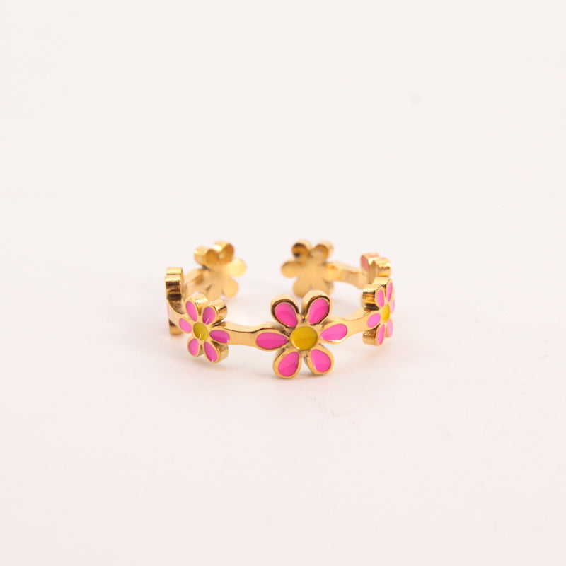 Anillo Marga