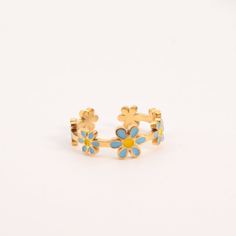 Anillo Marga