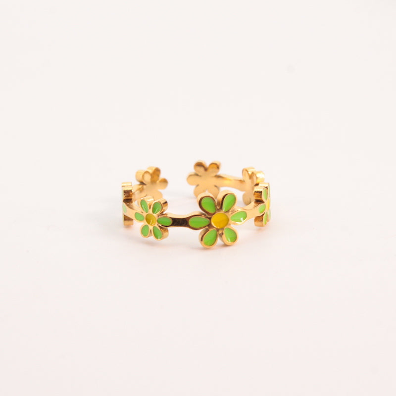 Anillo Marga