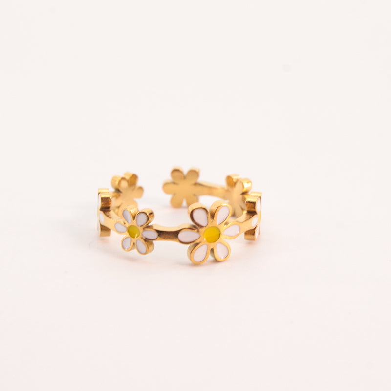 Anillo Marga