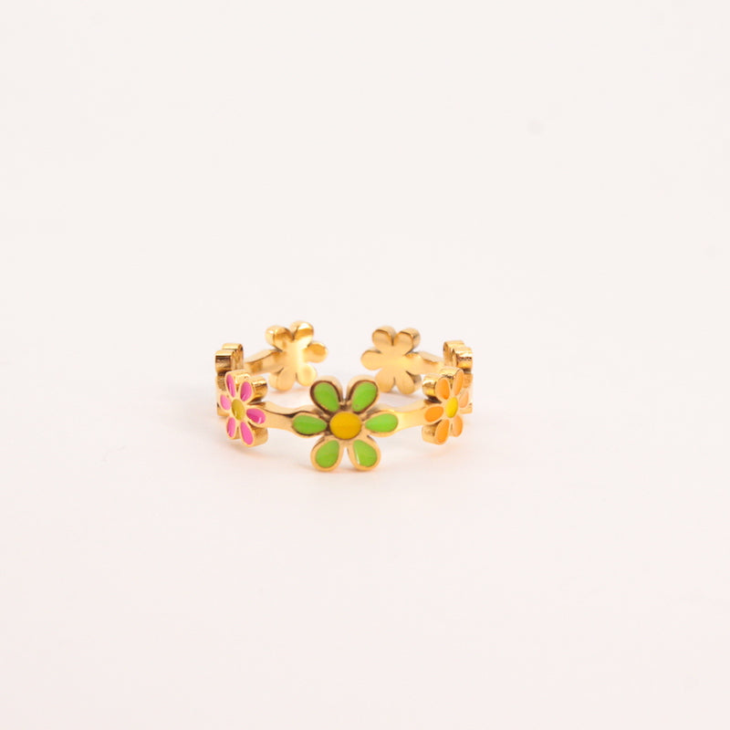 Anillo Marga