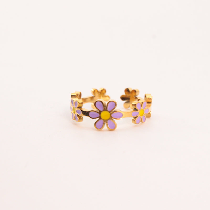 Anillo Marga