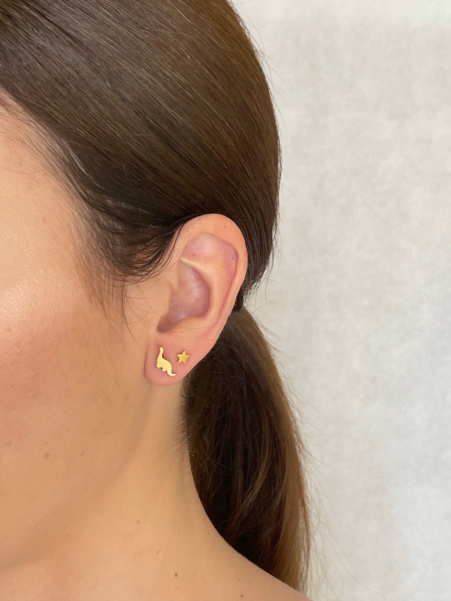 Pendientes Dinosaurio