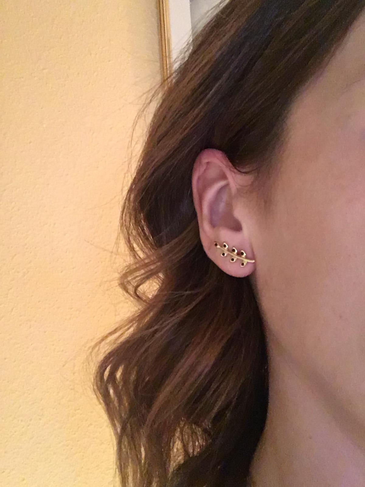 Pendientes Branch