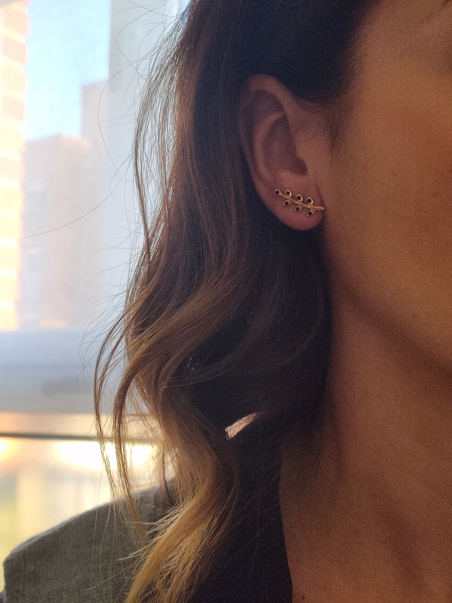Pendientes Branch